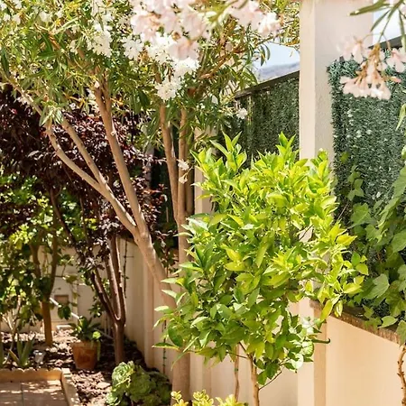 Tatil Evi Casa Monumental - Minirutas A Pie Al Casco Historico