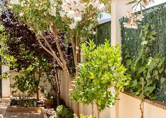 Tatil Evi Casa Monumental - Minirutas A Pie Al Casco Historico